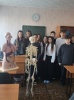 Занимательная анатомия